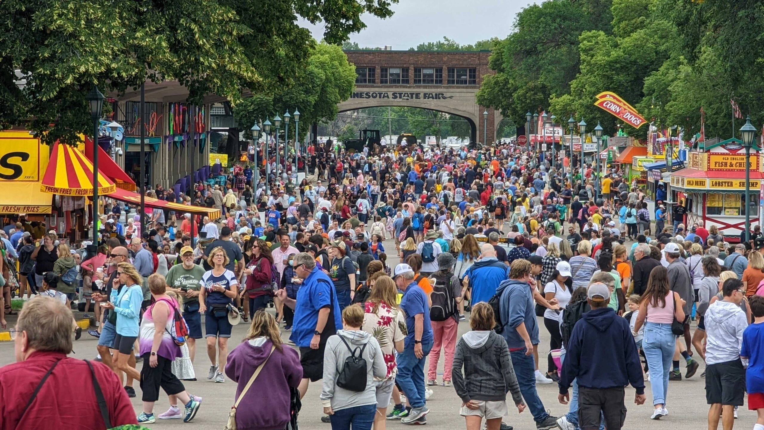 Minnesota State Fair