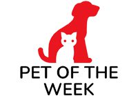 Pet of the Week