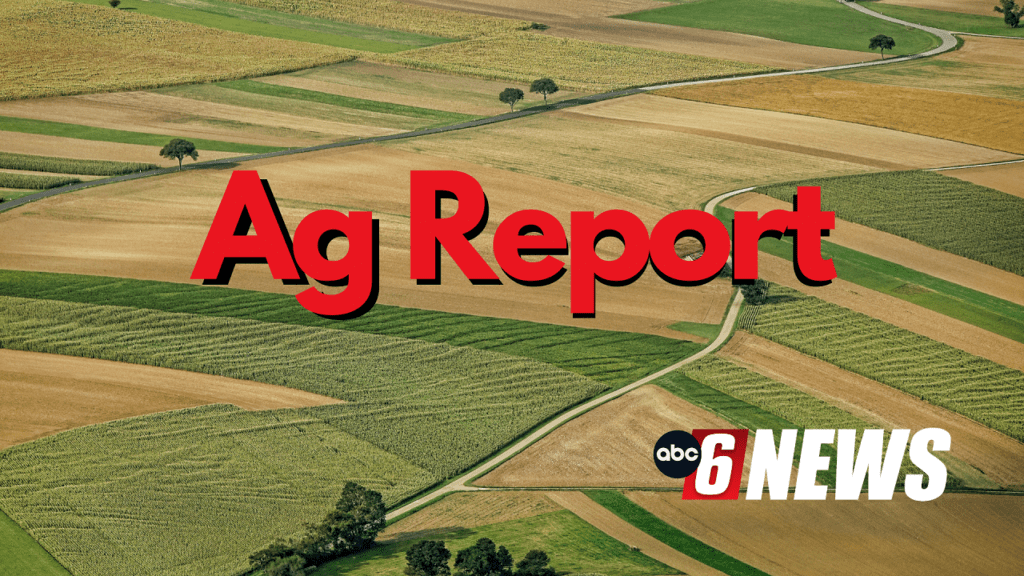 Ag Report