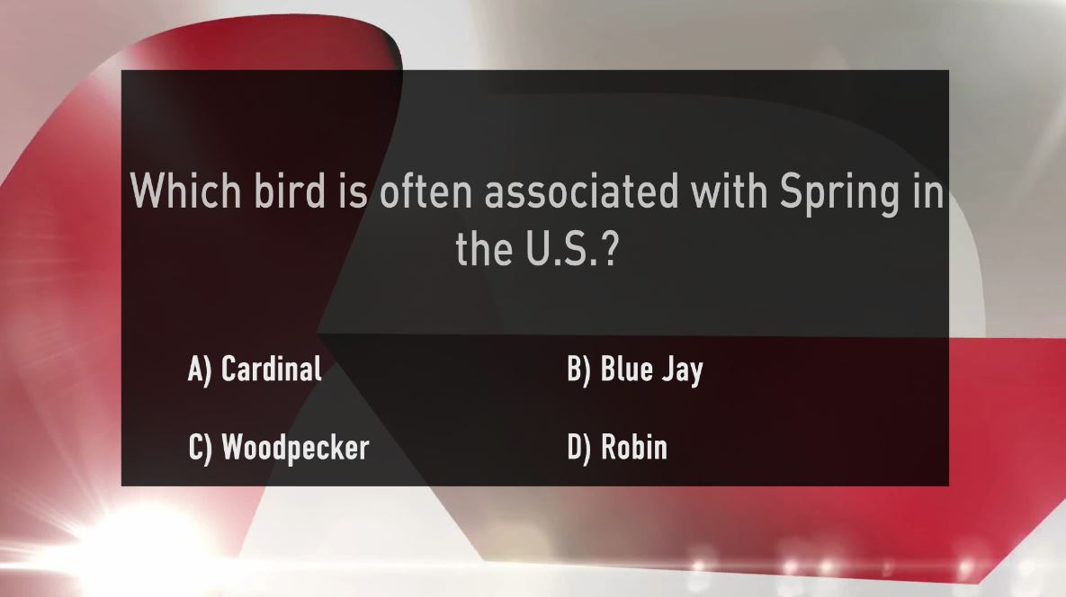 Which bird is often associated with Spring in the U.S.?