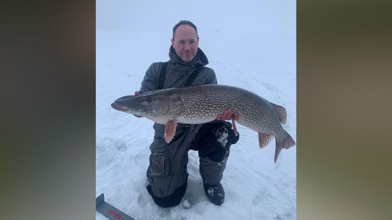 Minnesota DNR certifies state record tie for northern pike - ABC 6 News 