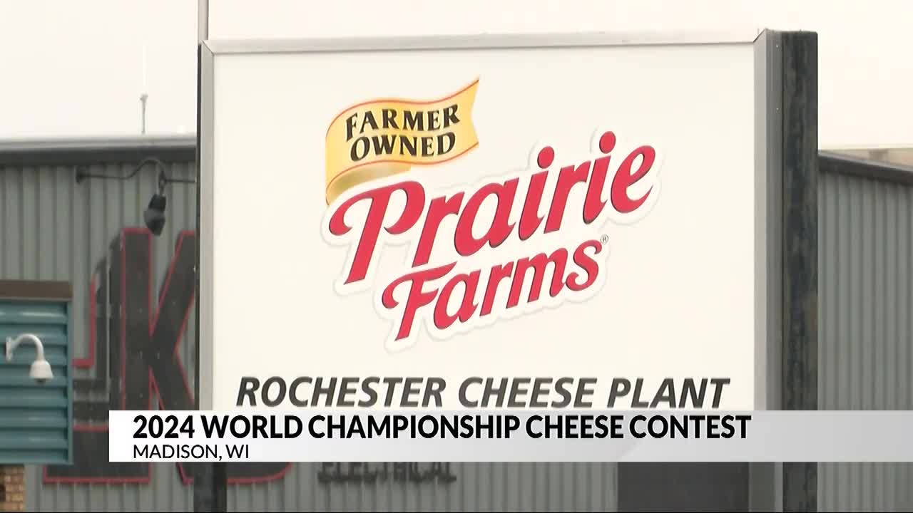 SE Minnesota Farmers Shine at the 2024 World Championship Cheese Contest – ABC 6 News