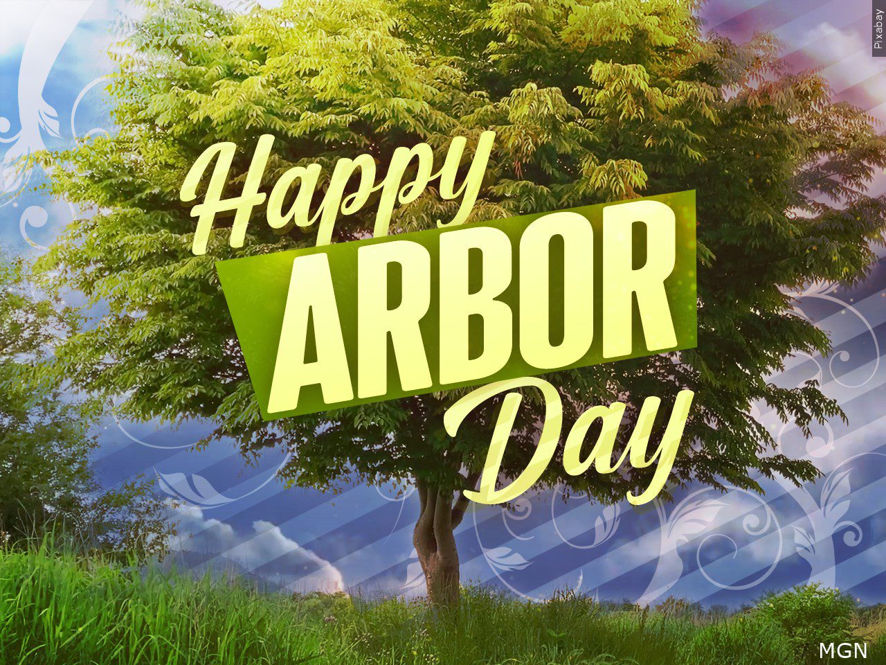 Arbor day